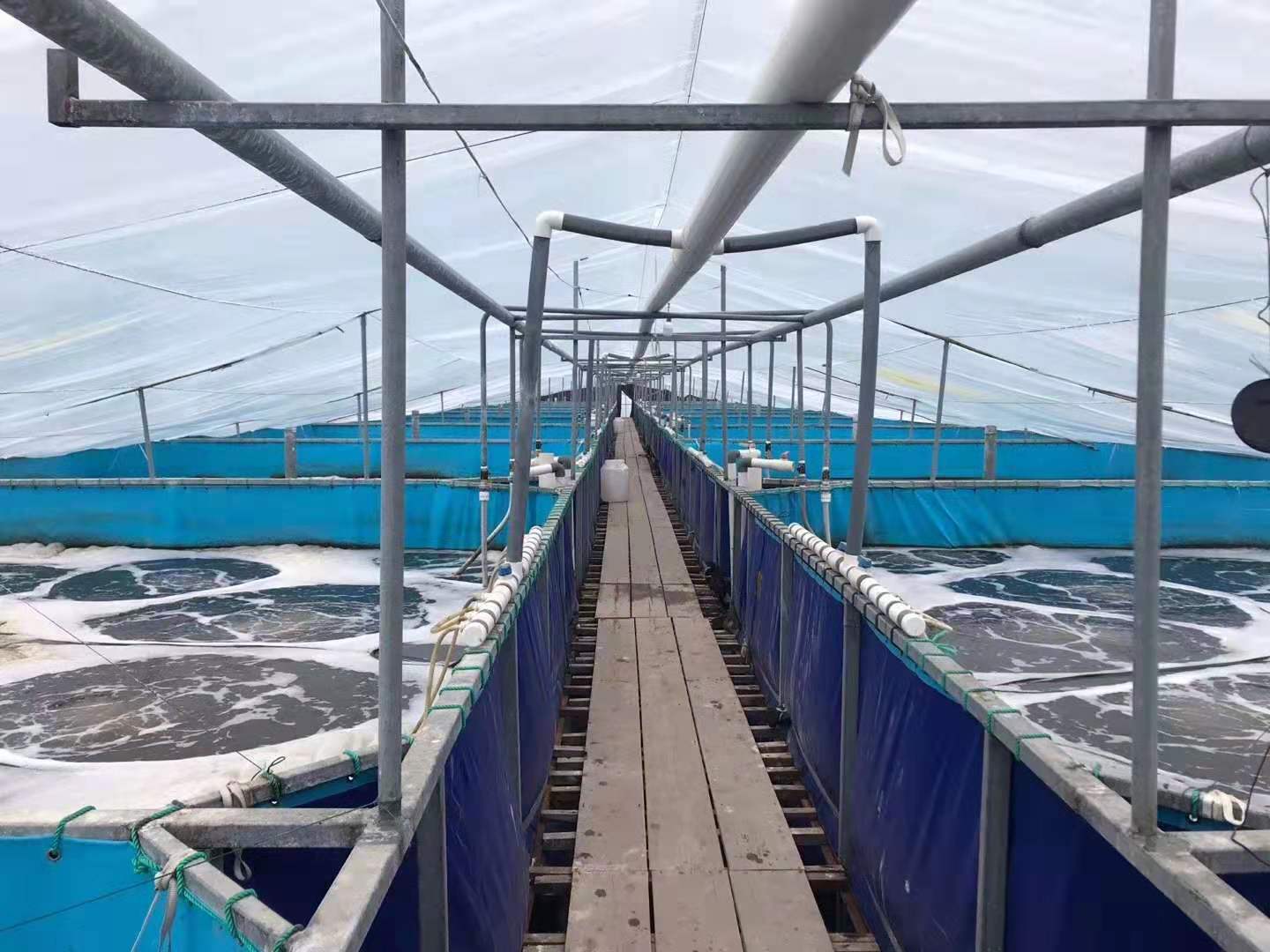 基地大棚水产养殖池