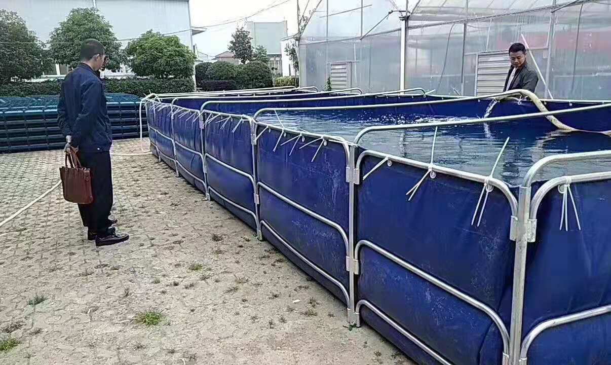 基地大棚水产养殖池